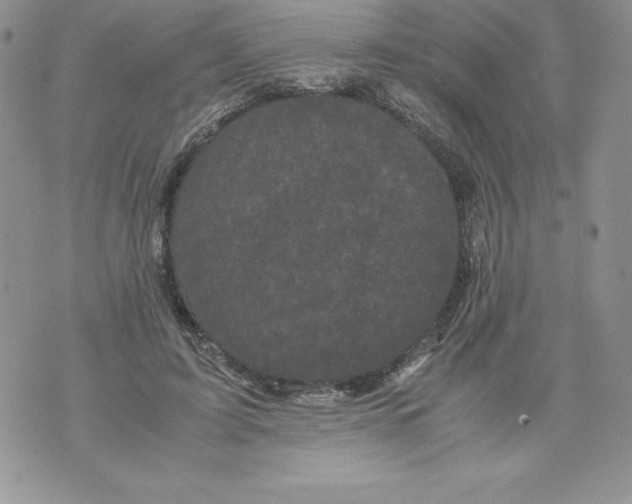 X0000071780595200607282240