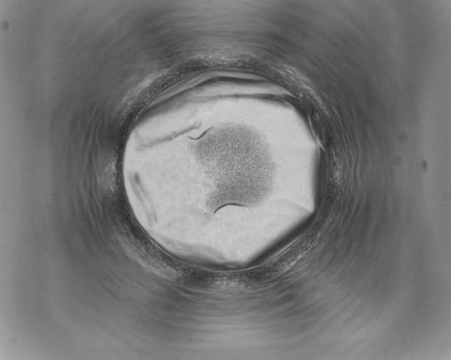 X0000071780596200607282240