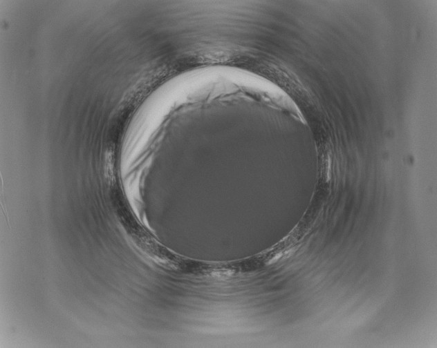 X0000071780598200607282240