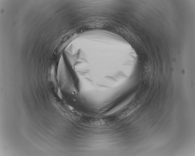 X0000071780600200607282240