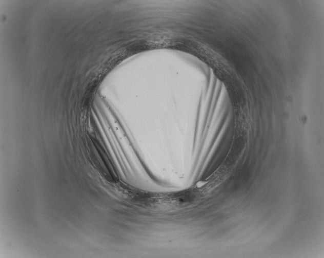 X0000071780601200607282240