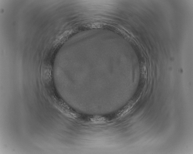 X0000071780603200607282240