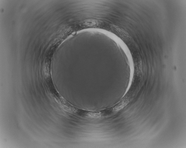 X0000071780606200607282240