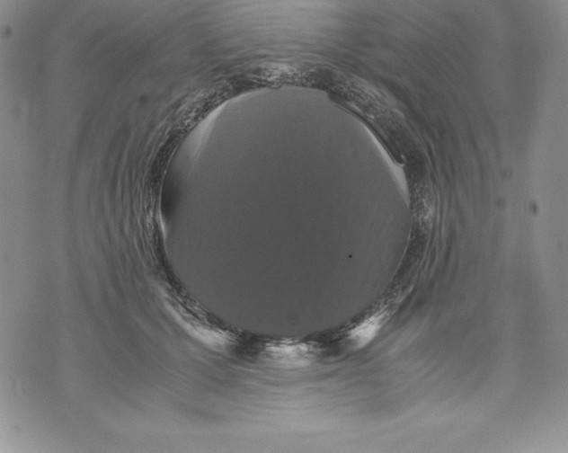 X0000071780607200607282240