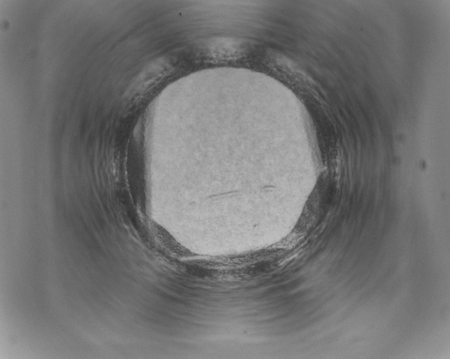 X0000071780608200607282240