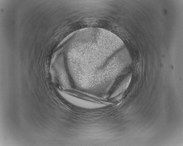 X0000071780609200607282240