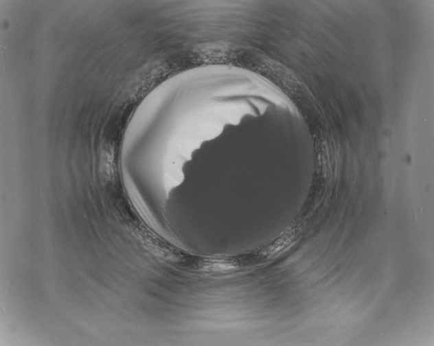 X0000071780610200607282240