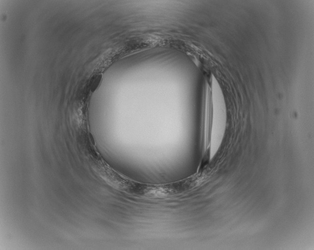 X0000071780611200607282240