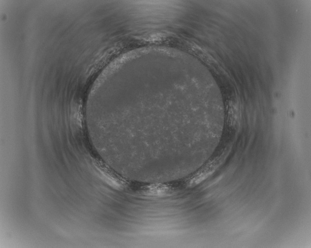 X0000071780612200607282240