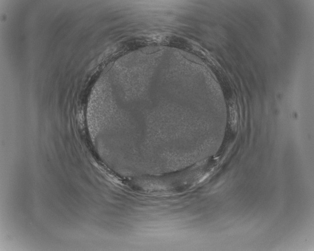 X0000071780613200607282240