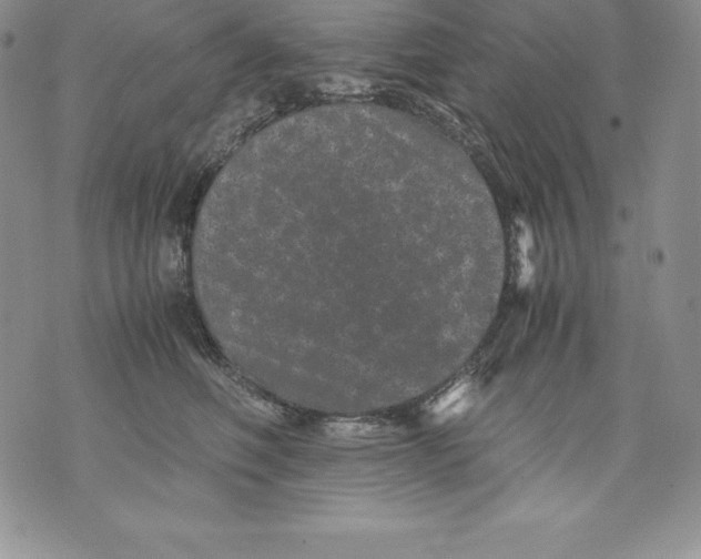 X0000071780614200607282240