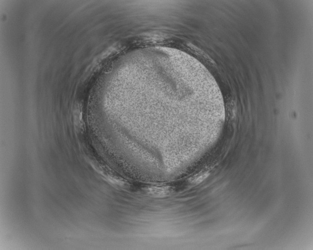 X0000071780615200607282240