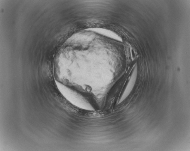 X0000071780616200607282239