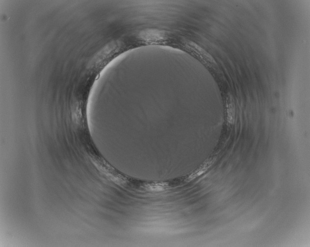 X0000071780618200607282239