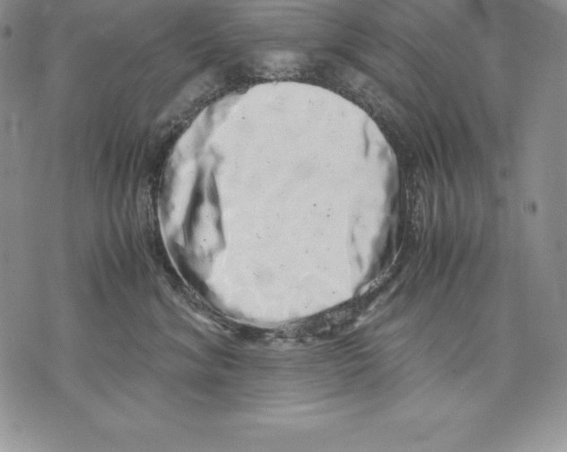 X0000071780620200607282239