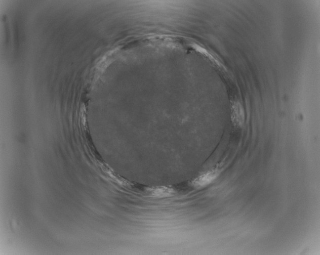 X0000071780621200607282239