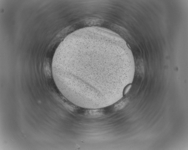 X0000071780622200607282239