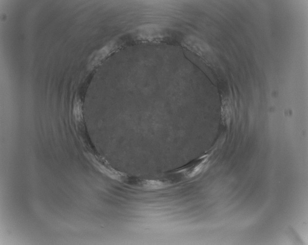 X0000071780623200607282239