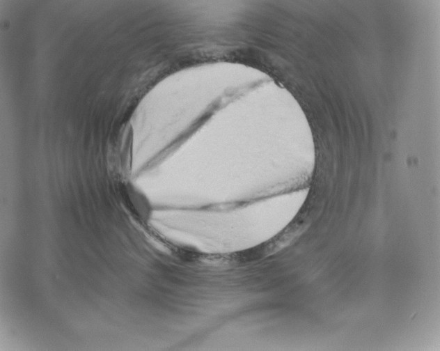 X0000071780624200607282239