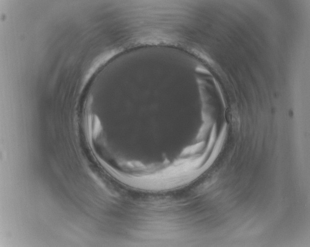 X0000071780626200607282239