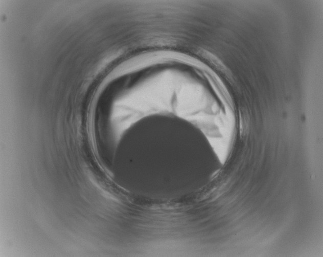 X0000071780627200607282239