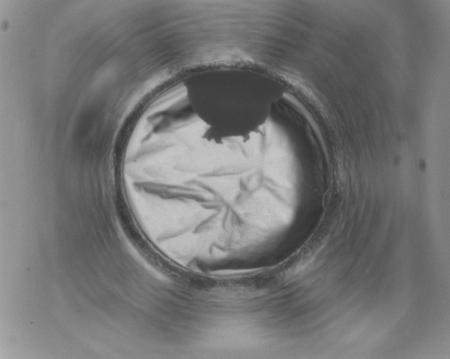 X0000071780630200607282239