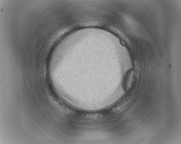 X0000071780631200607282239