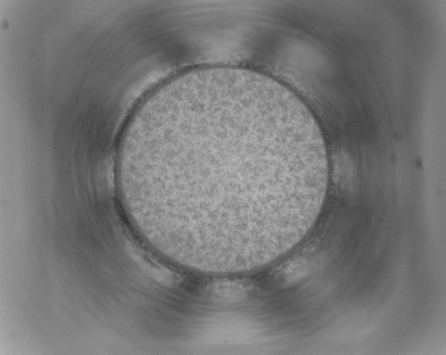 X0000071780632200607282239