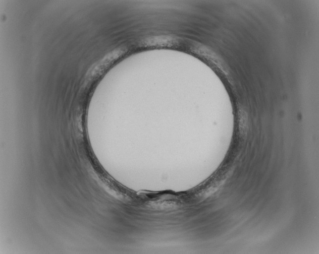 X0000071780633200607282239