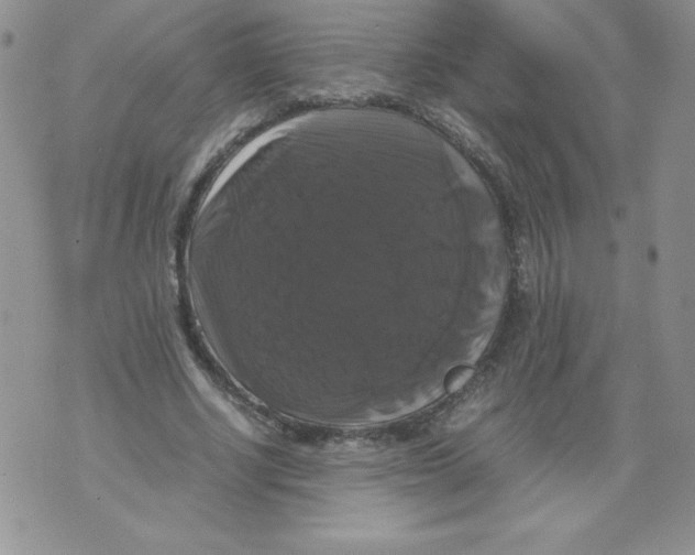 X0000071780634200607282239