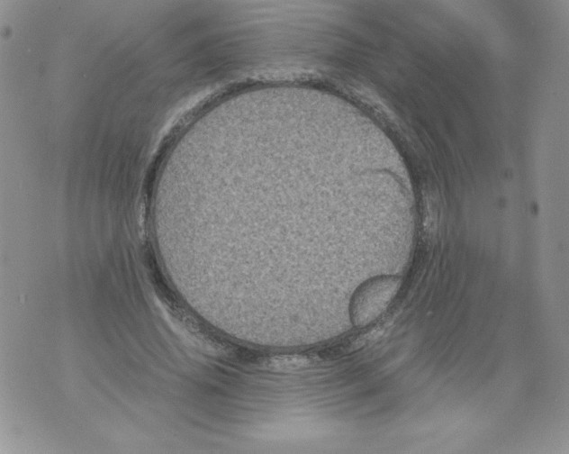 X0000071780636200607282239