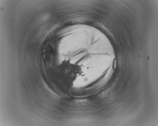 X0000071780637200607282239