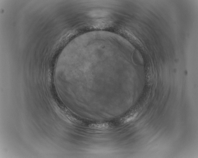 X0000071780639200607282239