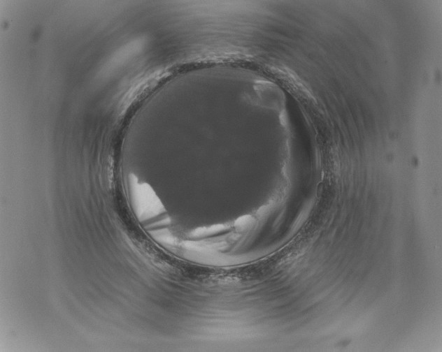 X0000071780640200607282239