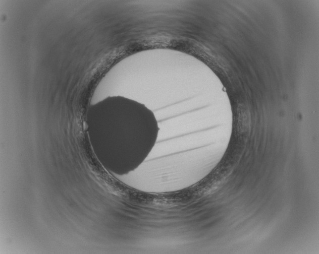 X0000071780641200607282239