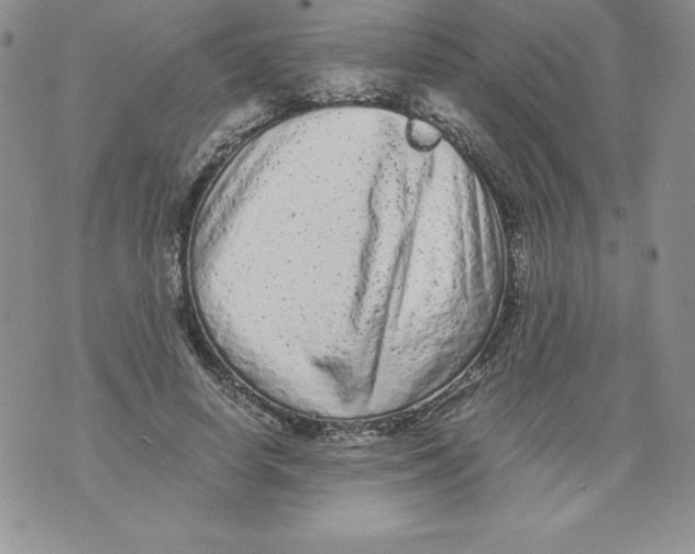 X0000071780642200607282239