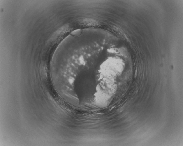 X0000071780643200607282239