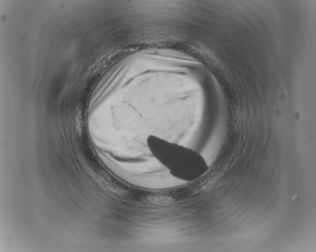 X0000071780644200607282239