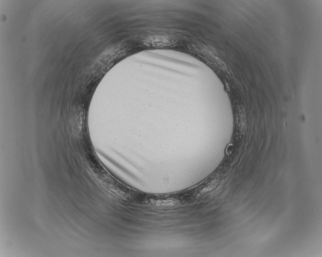 X0000071780645200607282239