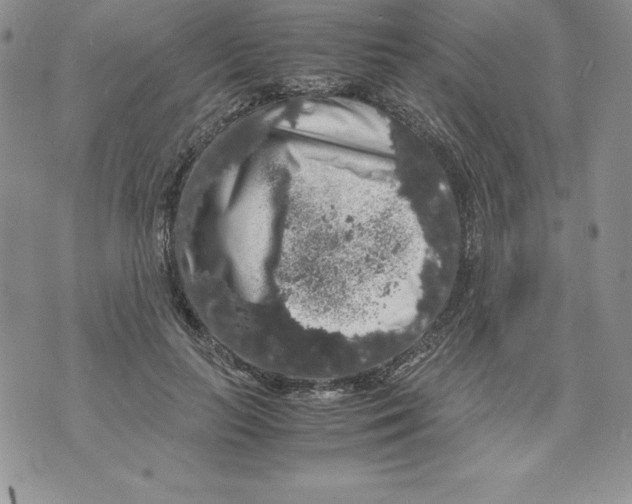 X0000071780647200607282239