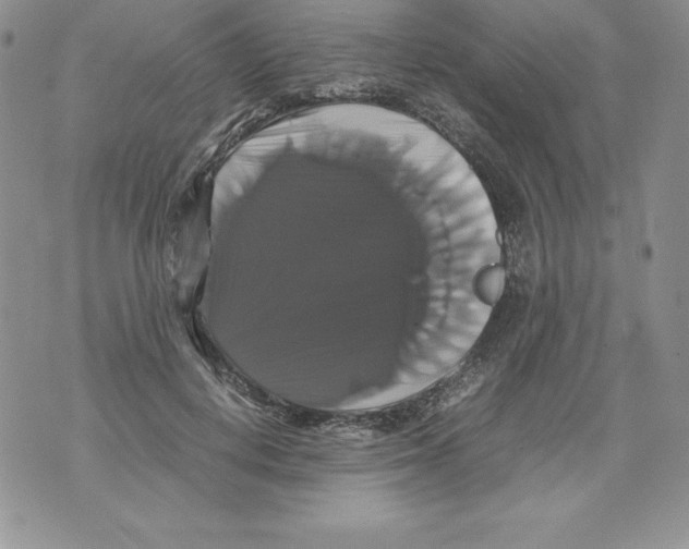 X0000071780648200607282239