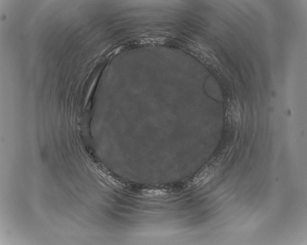 X0000071780649200607282239