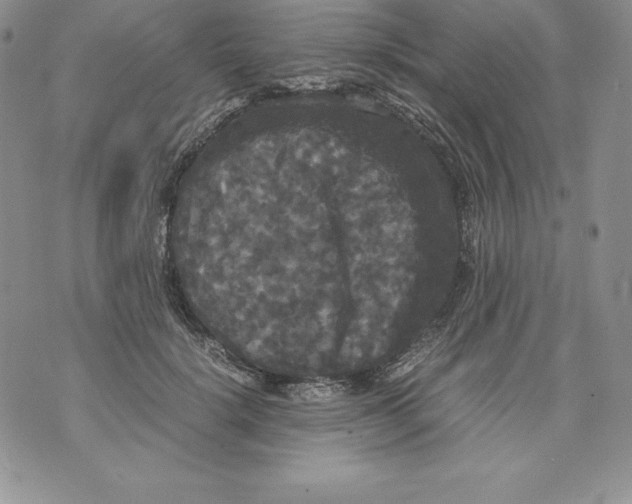 X0000071780652200607282239