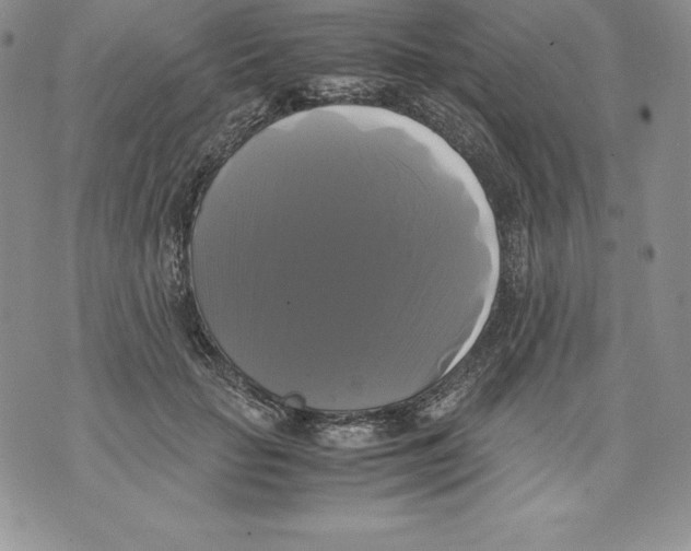 X0000071780653200607282239