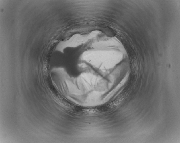 X0000071780654200607282239