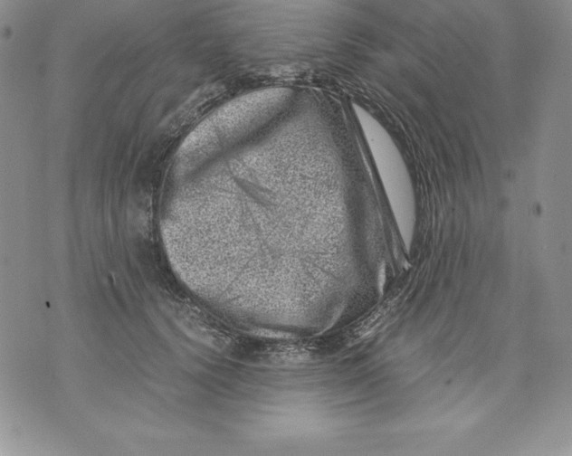 X0000071780656200607282239