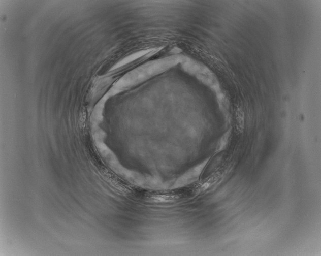 X0000071780657200607282239