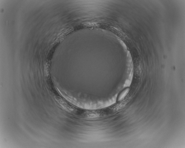 X0000071780658200607282239