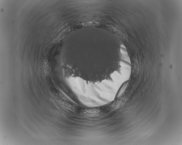 X0000071780659200607282239