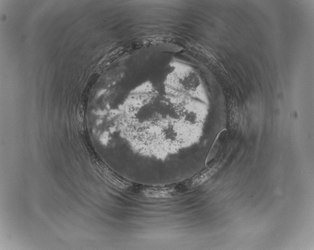 X0000071780661200607282239